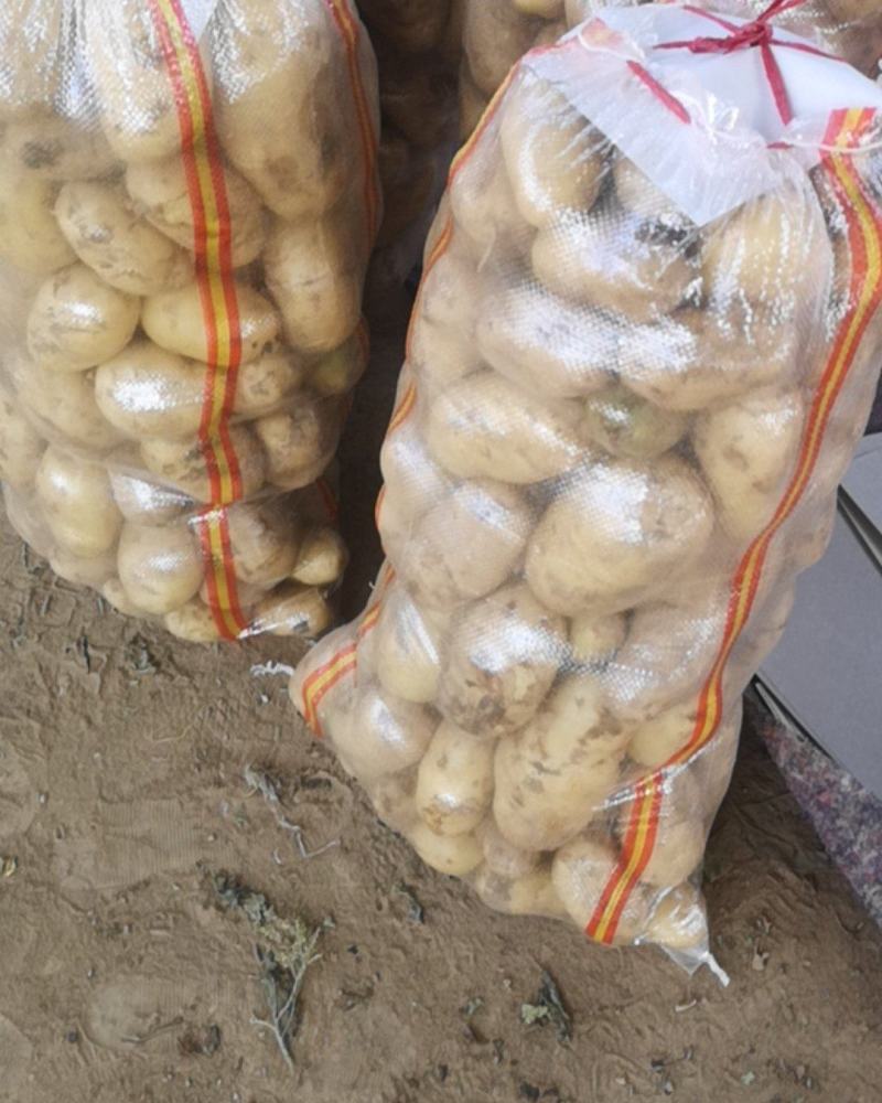 优质荷兰十五土豆，产地一手货源，价格便宜质量保障全国发货