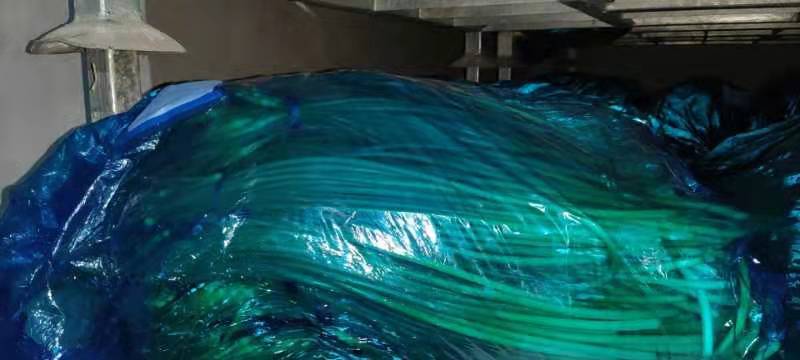 蒜薹表面的蓝色蜡质层