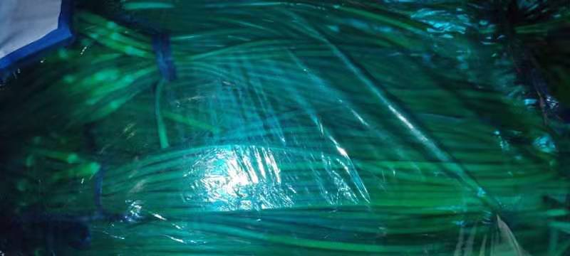 湖北洪湖核心产区白菜苔采收实景,展现地理标志产品生长环境与当季鲜采特征,强化产地可信度 农户在湖北洪湖基地清晨采摘白菜苔:身着深蓝色棉袄,手持竹篮,篮中堆满带露水的翠绿嫩苔,背景为连片露天菜田与薄雾