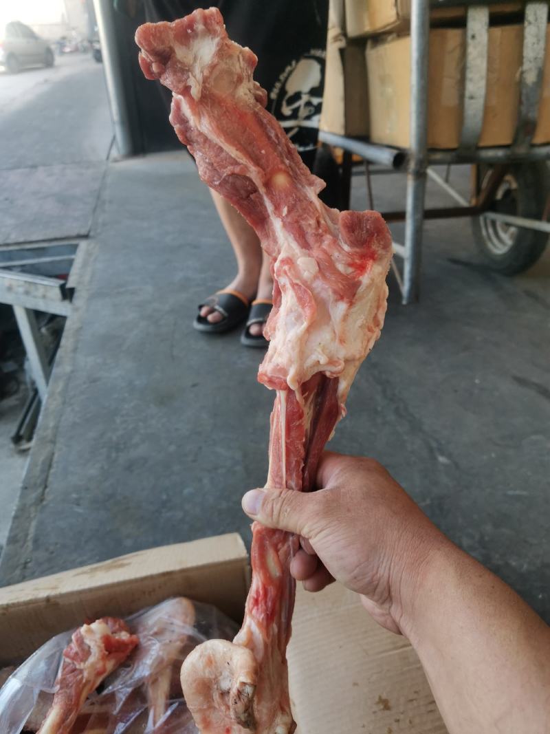 羔羊带肉羊棒骨