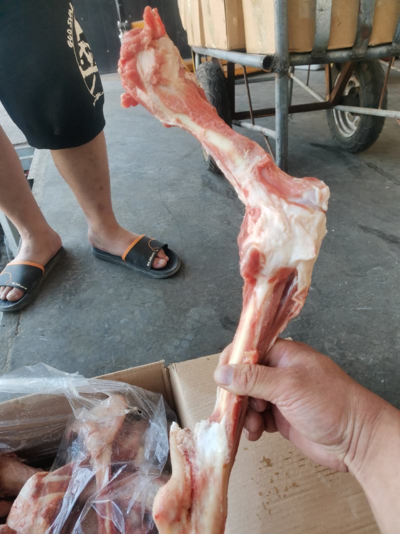 羔羊带肉羊棒骨
