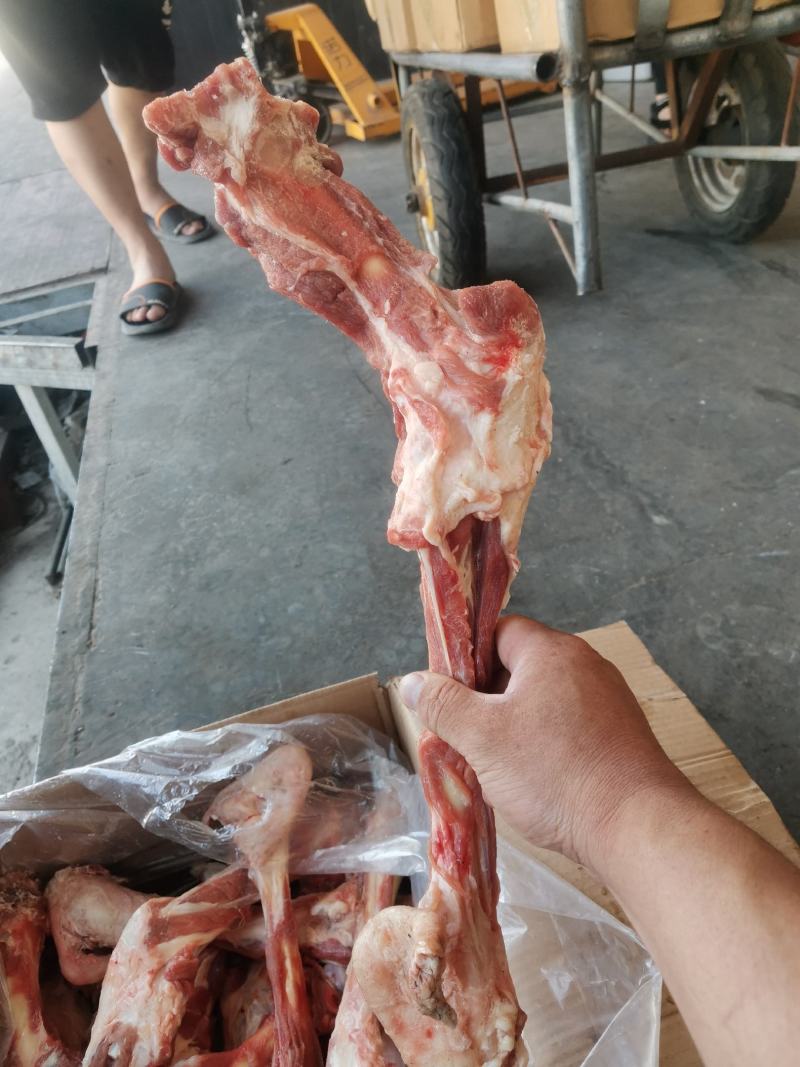 羔羊带肉羊棒骨