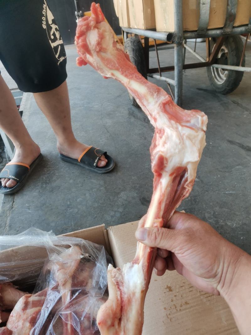 羔羊带肉羊棒骨