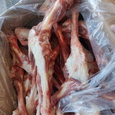 羔羊带肉羊棒骨