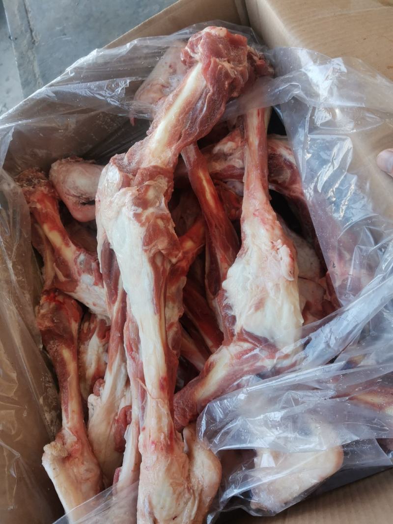 羔羊带肉羊棒骨