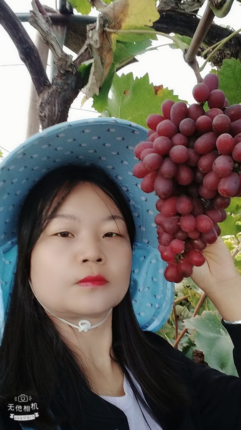葡萄代购，批发