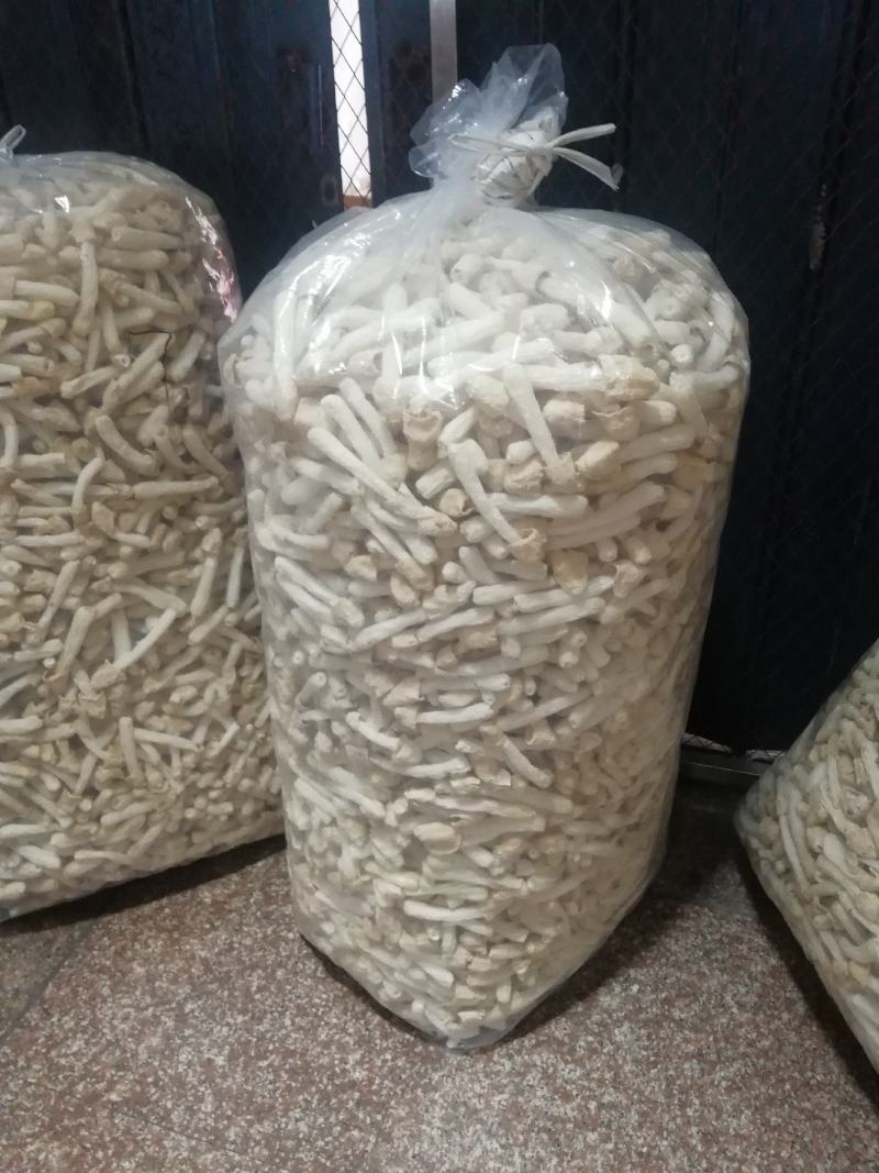 产地直销竹荪蛋竹荪球竹荪福建竹荪干竹荪长裙竹荪