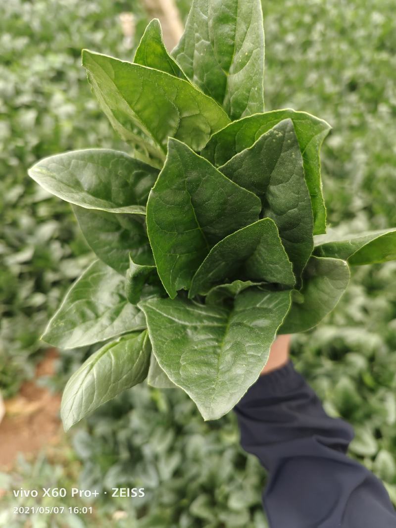 代发各种云南菜
