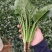 代发各种云南菜
