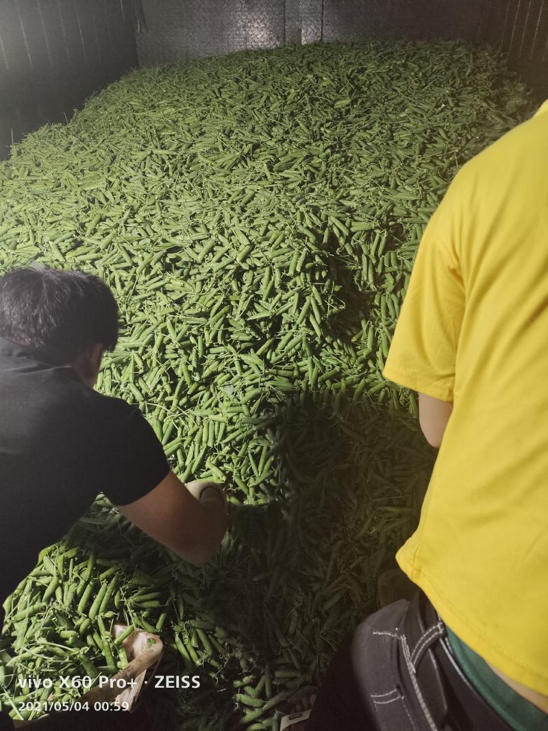 代发各种云南菜