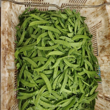 代发各种云南菜