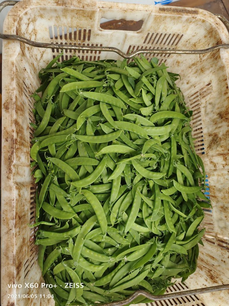 代发各种云南菜