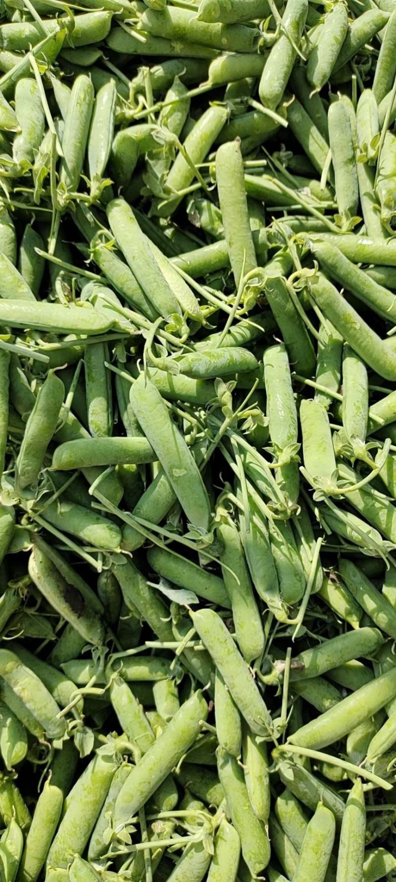 代发各种云南菜