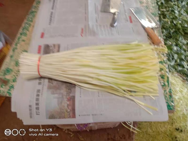 代发各种云南菜
