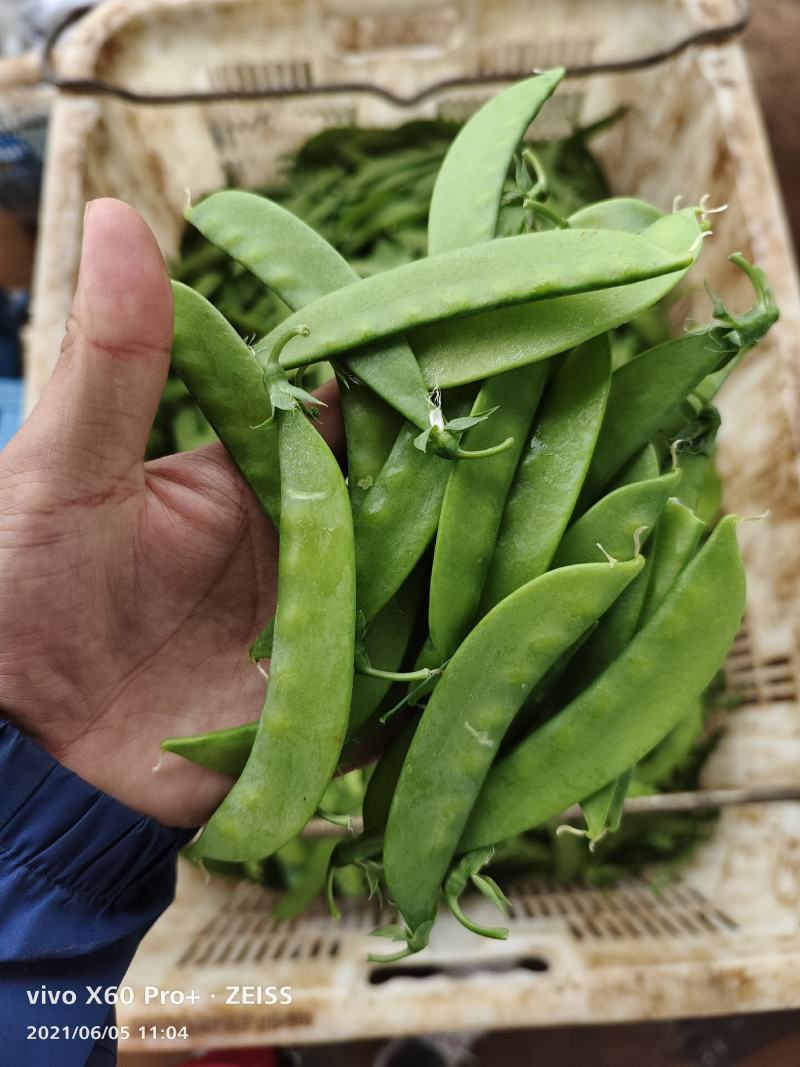 代发各种云南菜