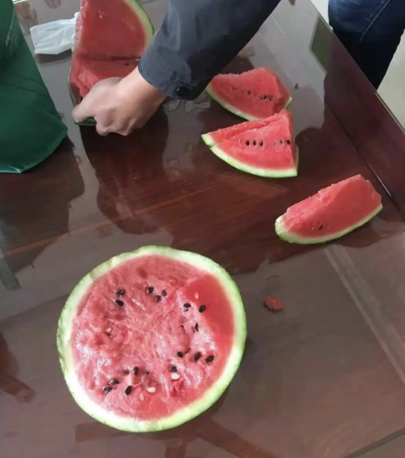 【产地直供】陕西甜王西瓜直生苗双红壤糖度高