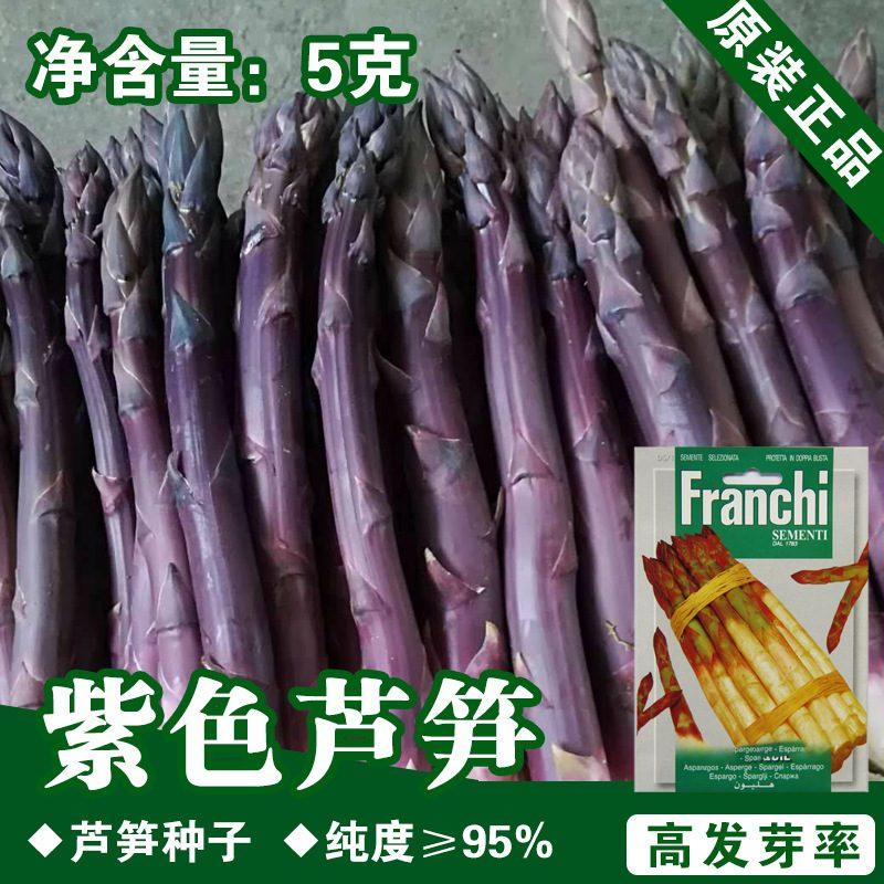 紫色芦笋苗现挖现售成活率高抗病性强适宜四季种植