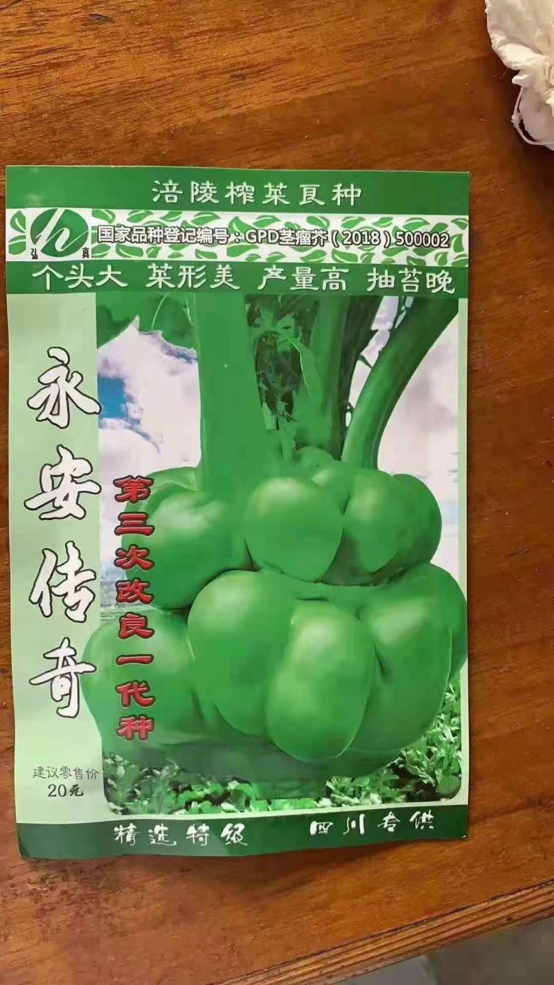 班导砍榨菜种子大量以后