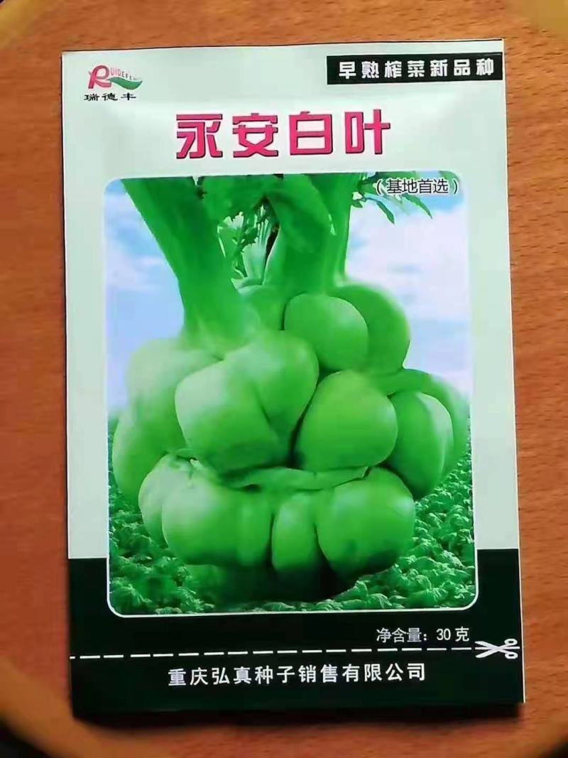 班导砍榨菜种子大量以后