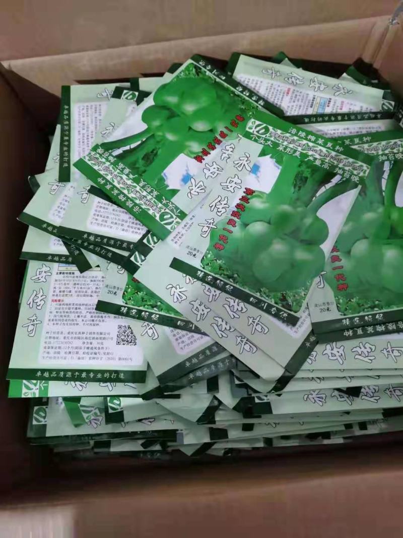 班导砍榨菜种子大量以后