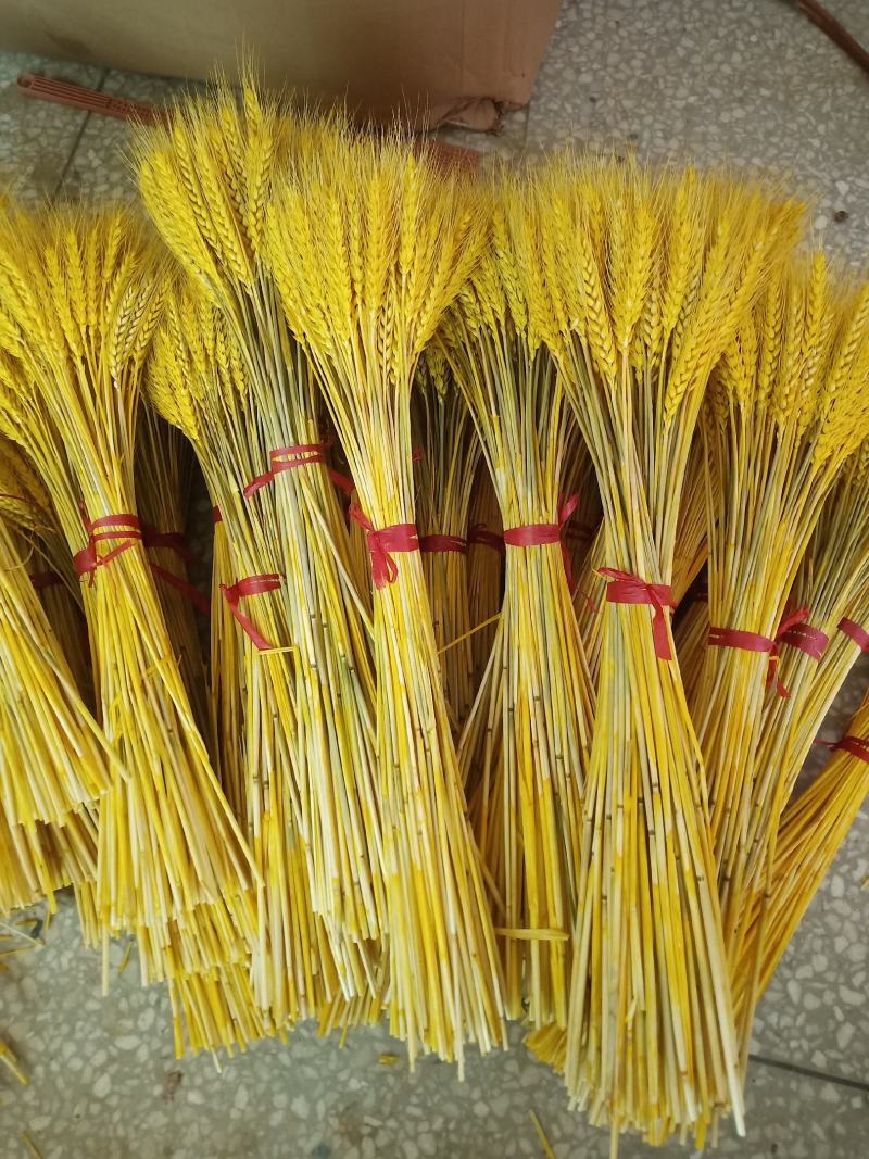 花店批发开业花篮大麦干花天然麦穗干花花束客厅装饰摆件材料