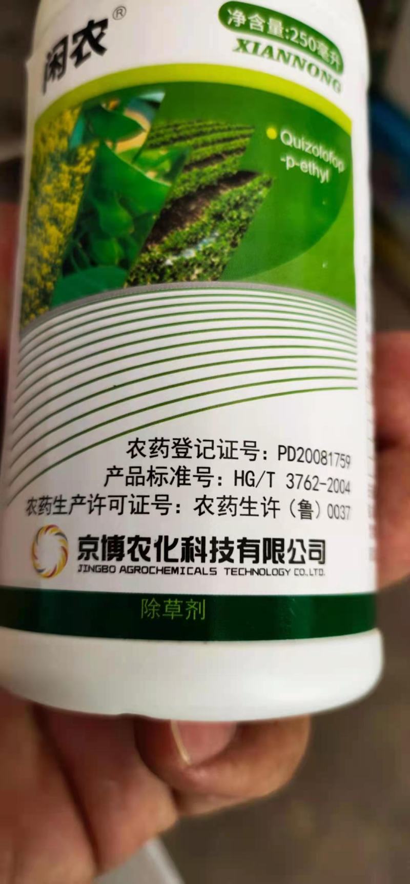 精喹禾灵尖叶草除草剂大豆油菜各种圆叶农作物