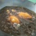 乳鸽生鲜广东农家散养土鸽子肉新鲜活鸽子红烧乳鸽