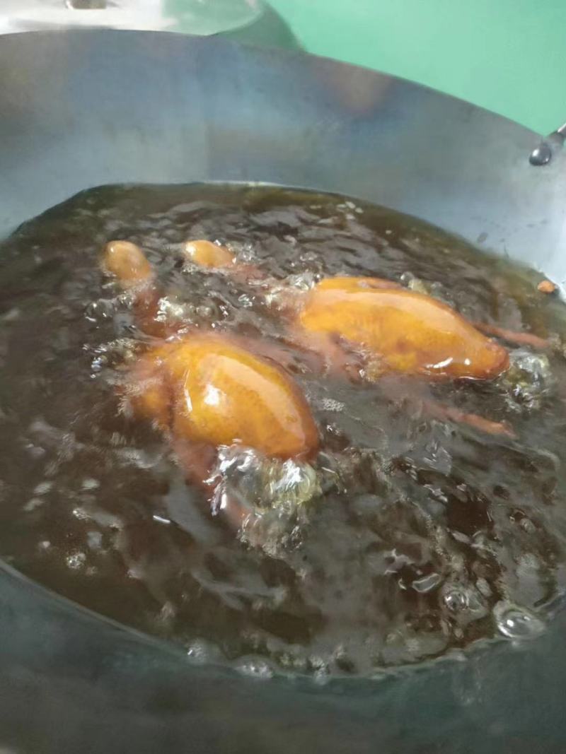 乳鸽生鲜广东农家散养土鸽子肉新鲜活鸽子红烧乳鸽