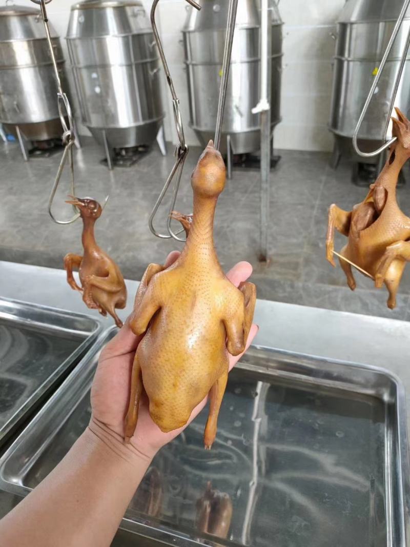 乳鸽生鲜广东农家散养土鸽子肉新鲜活鸽子红烧乳鸽
