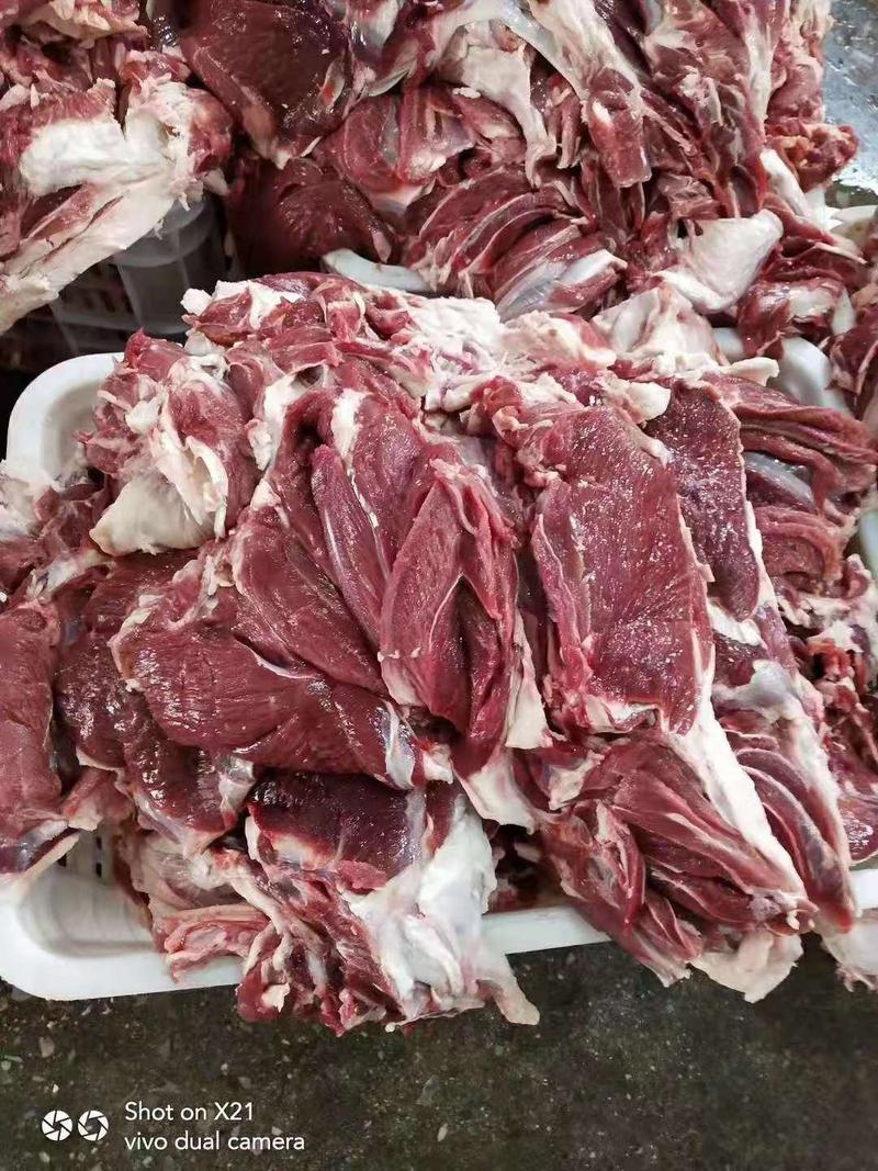 羔羊后腿肉，纯干大块肉，整块肉，质量保证