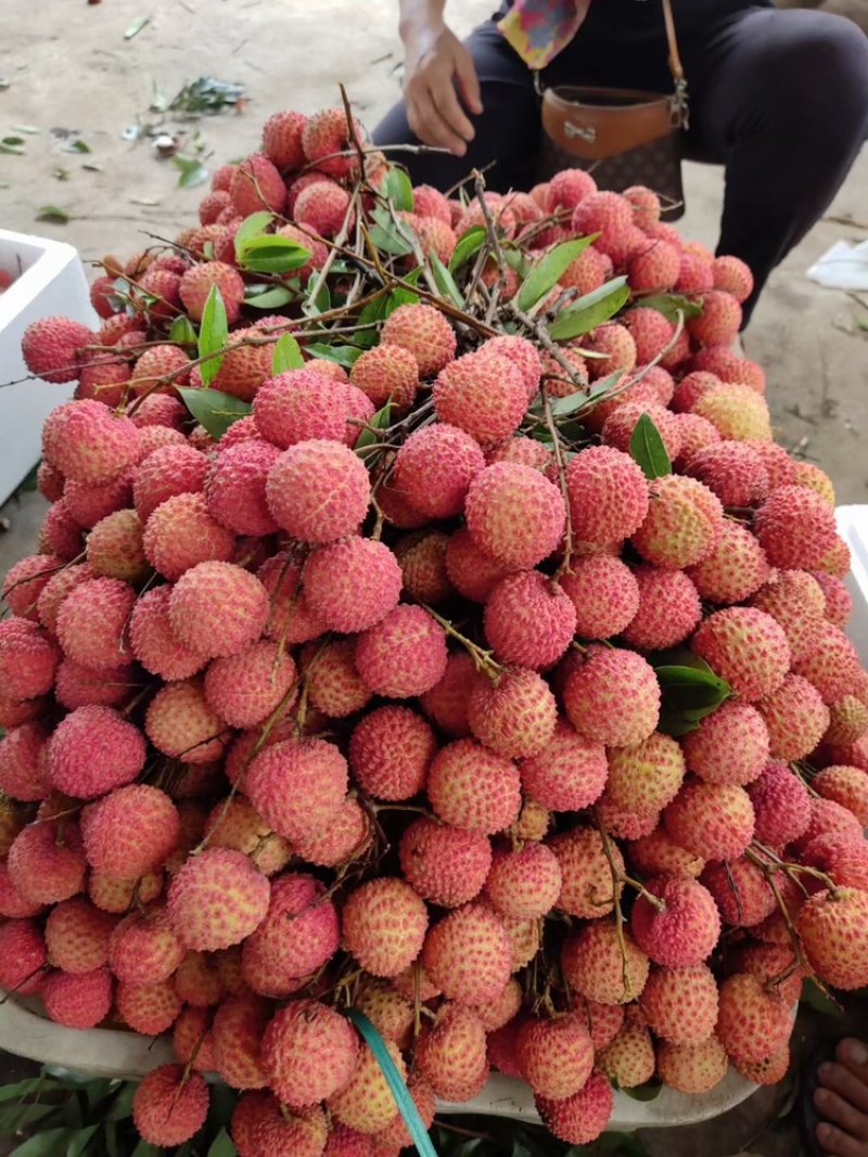 荔枝