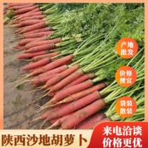 陕西渭南大荔沙地红萝卜袋装散装，产地批发价格便宜