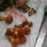 云南普洱黄牛肝菌_鲜货_未开伞_当天鲜货