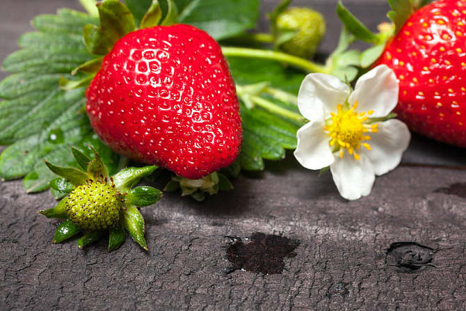 草莓营养价值图表