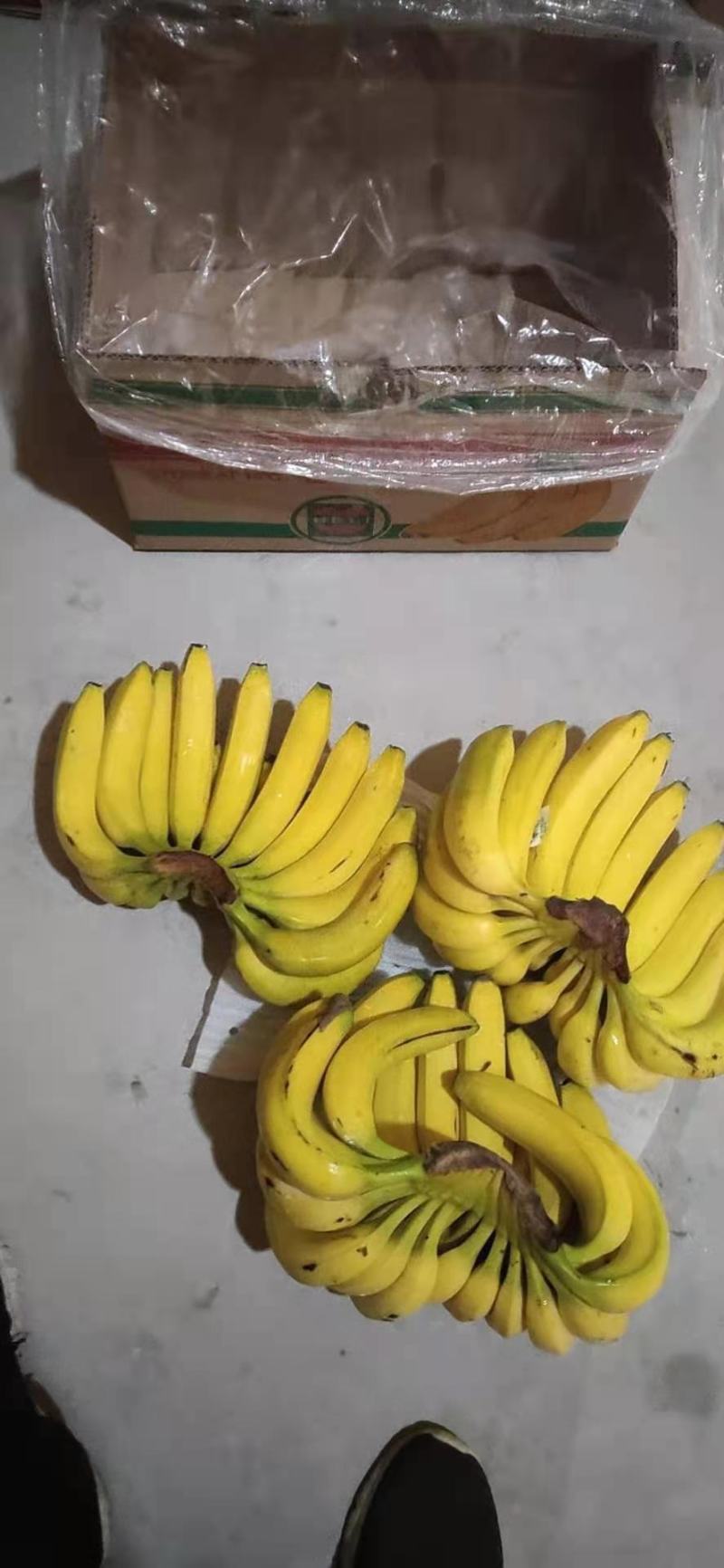 纯三把无黑心无硬心广东广西云南香蕉