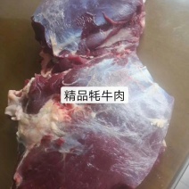 新鲜牦牛肉