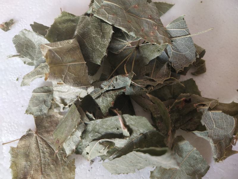 生淫羊藿叶，可泡水喝的叶子，淫羊藿根，需要的联系