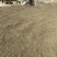 中药饮片