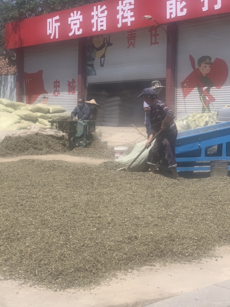 中药饮片