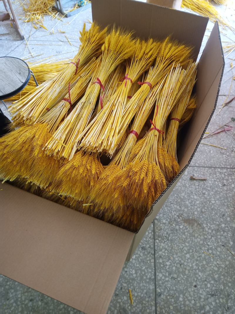 花店批发开业花篮大麦干花天然麦穗干花花束客厅装饰摆件材料