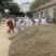中药材