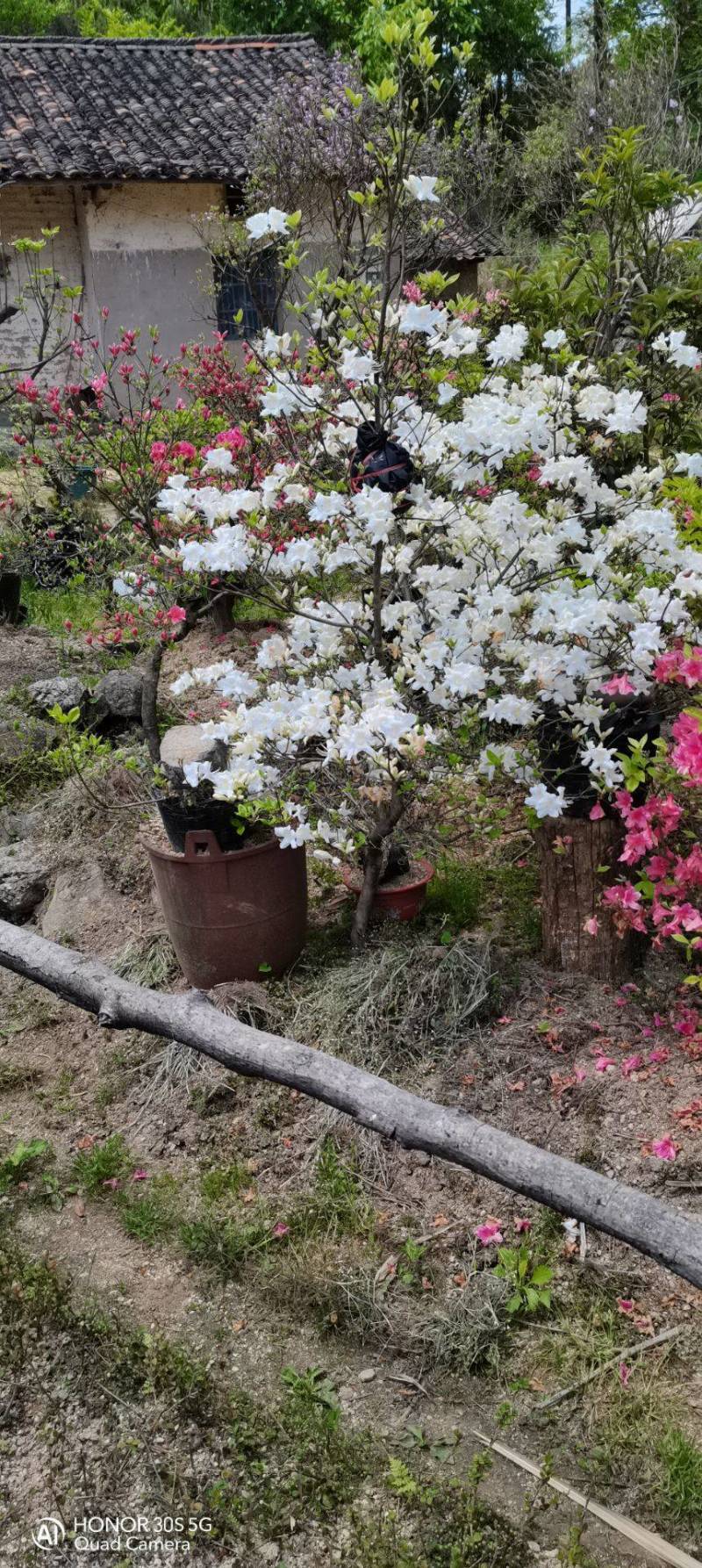 做标安徽省霍山县