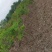 定位安徽省霍山县