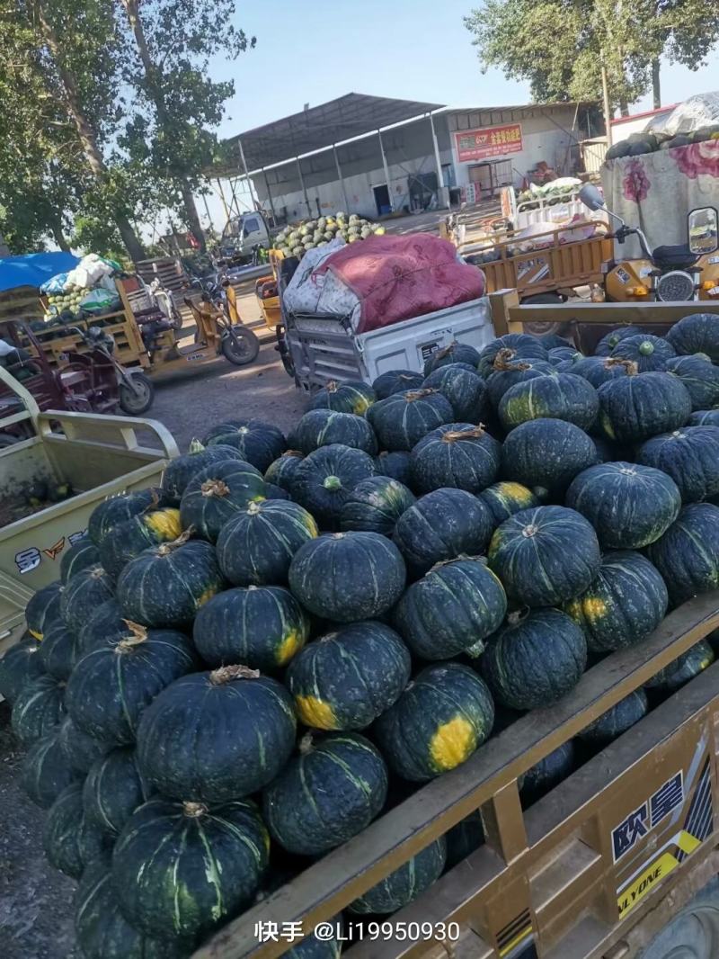 板栗南瓜