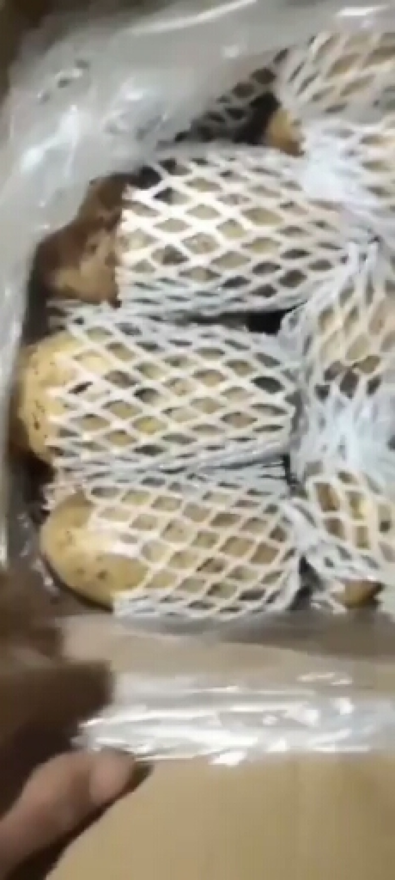 万亩新荷兰十五土豆黄心黄皮大量上市，质量包证，颜色好