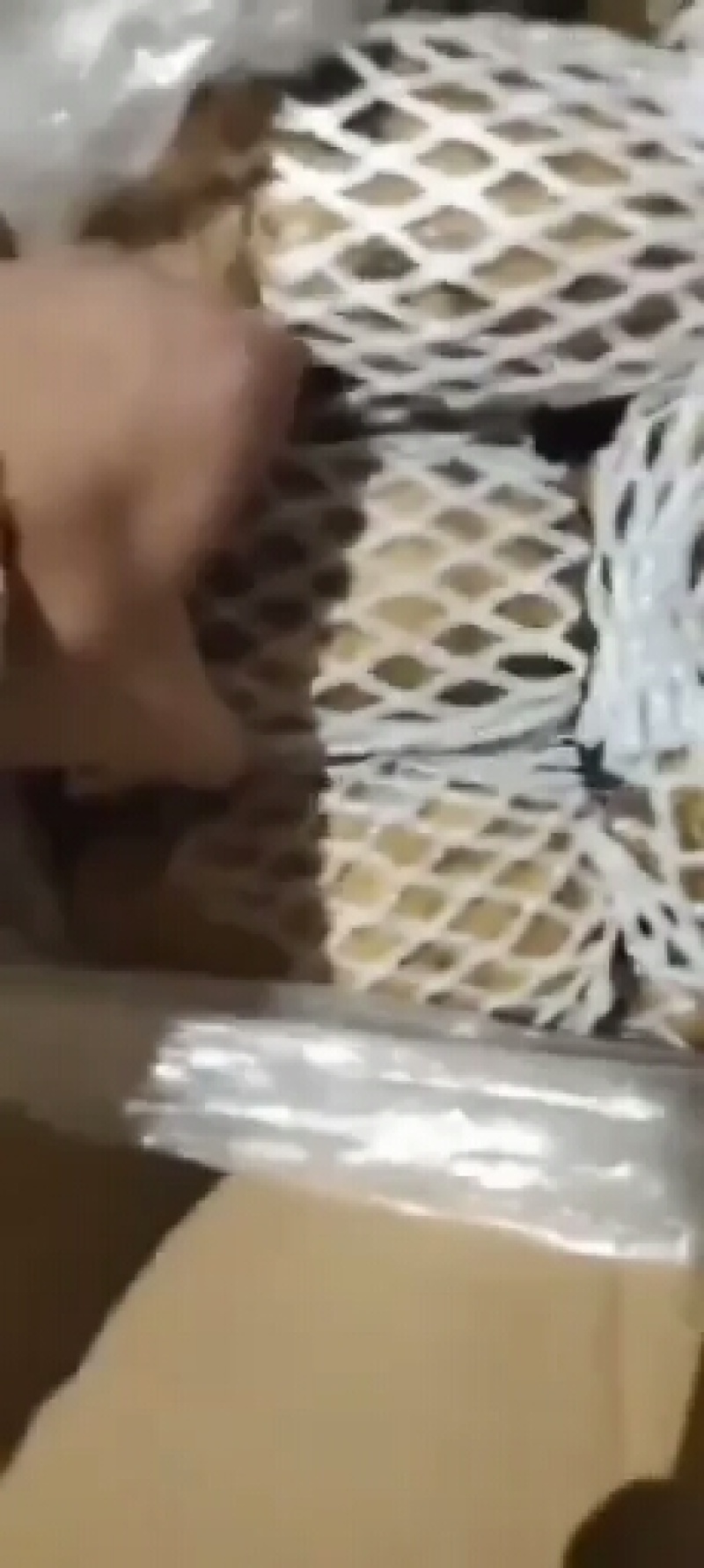 万亩新荷兰十五土豆黄心黄皮大量上市，质量包证，颜色好