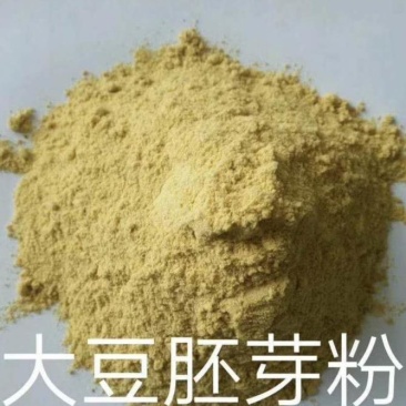 厂家直销大豆胚芽粉现货供应。