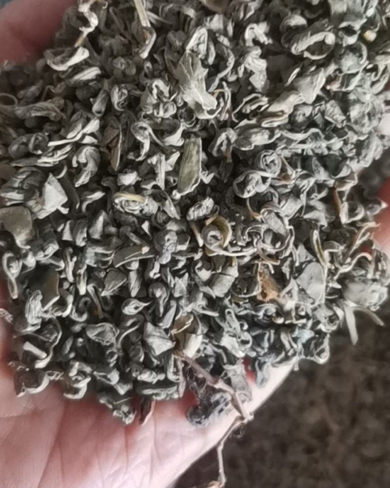 罗布麻茶可视频看货质量保证实物比图片颜色好看