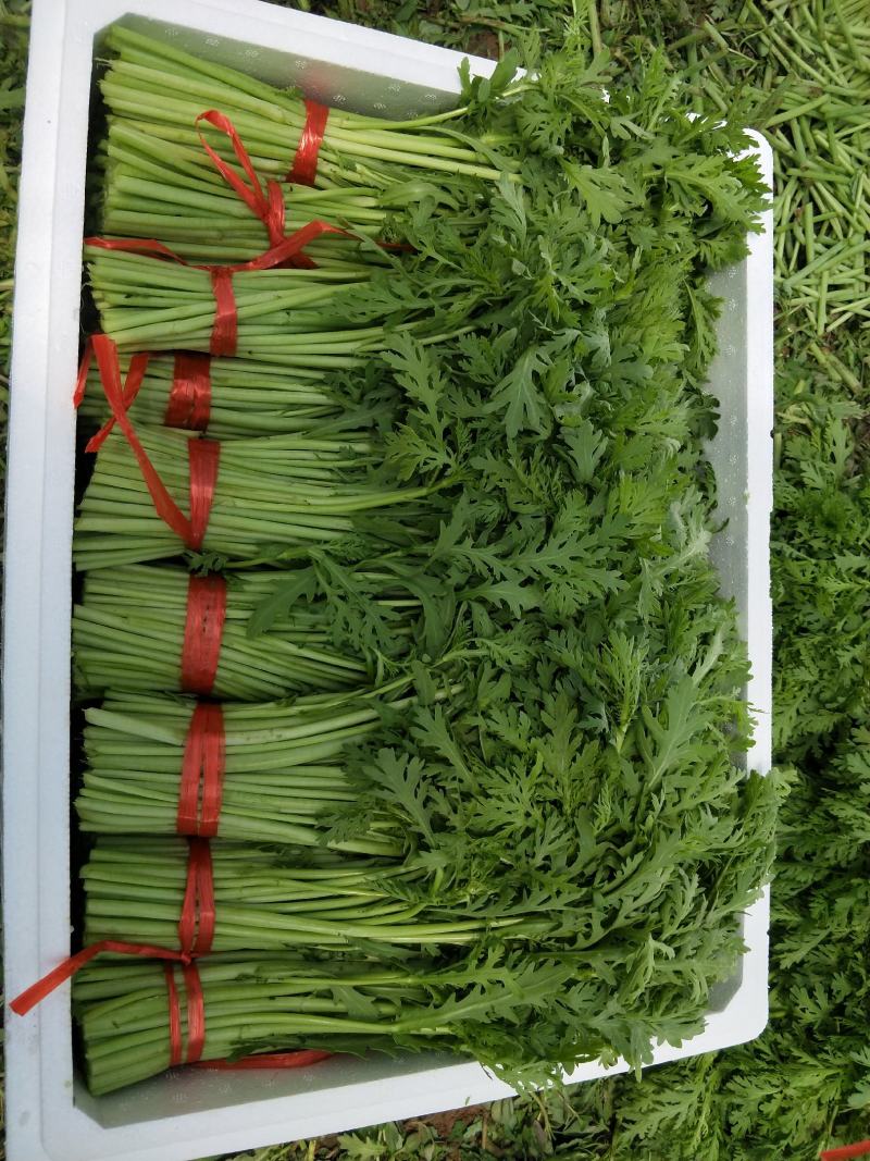 茼蒿】质量好，价格优