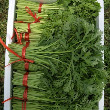 茼蒿】质量好，价格优